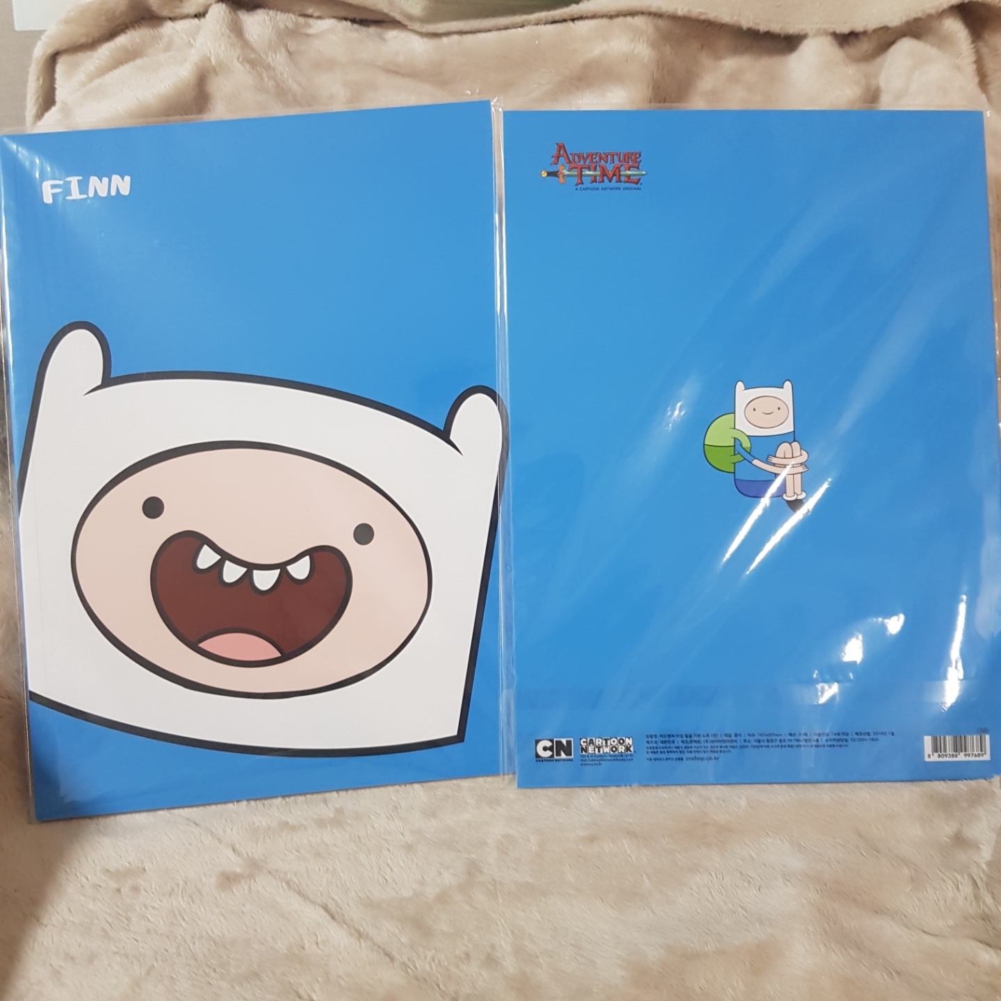핀 노트