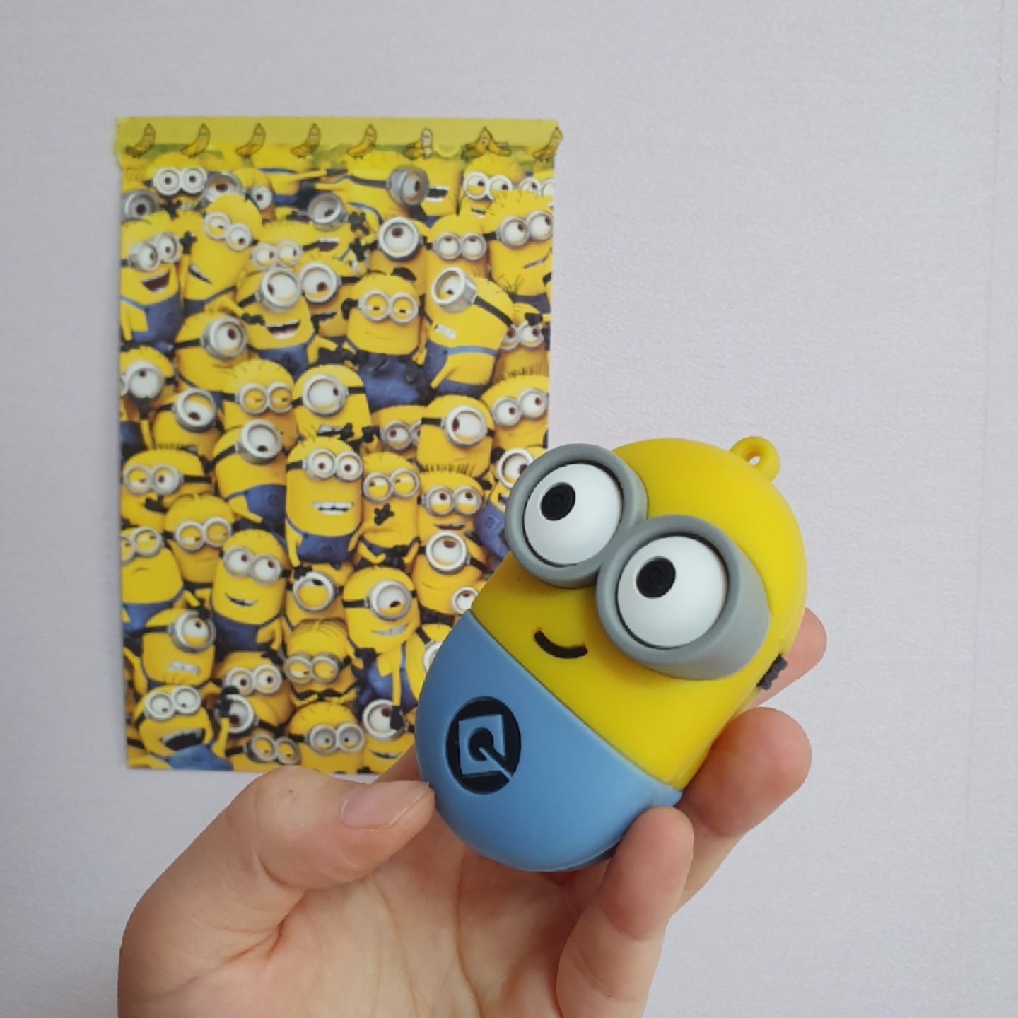 미니언즈 버즈 case❄