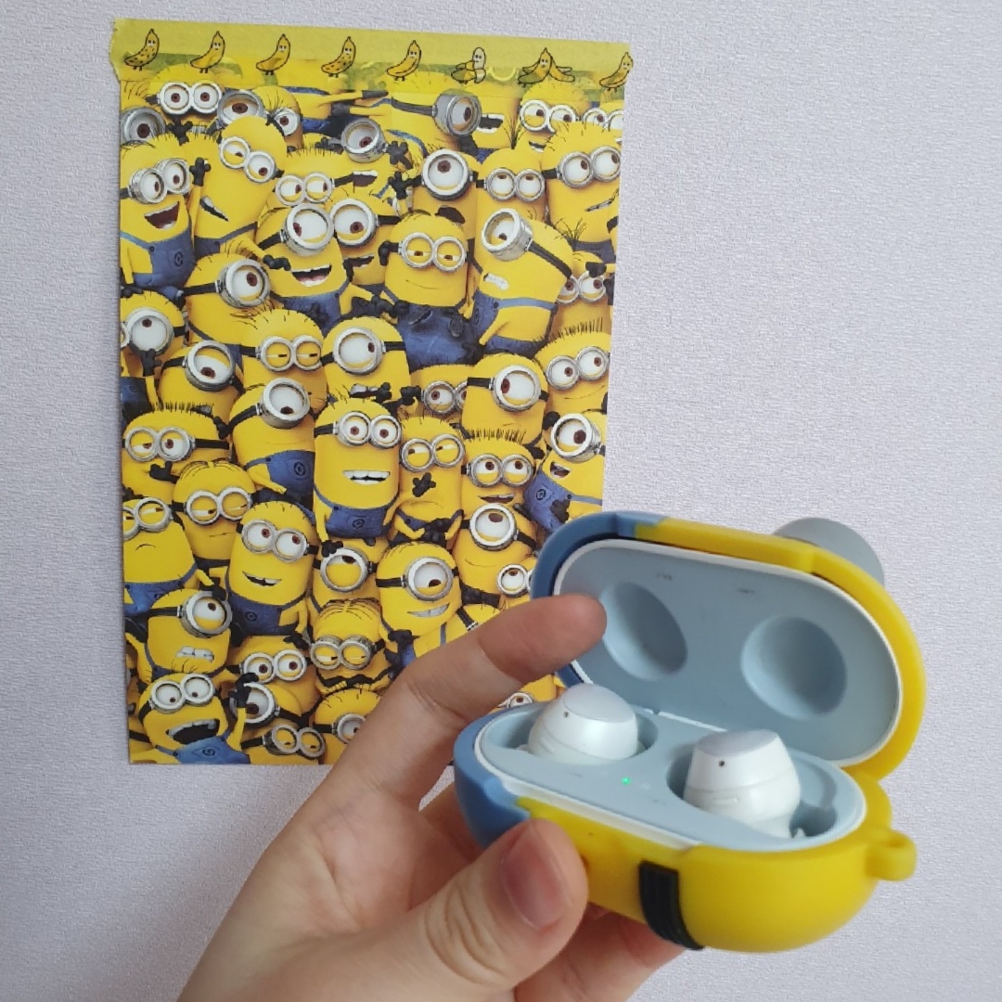 미니언즈 버즈 case❄