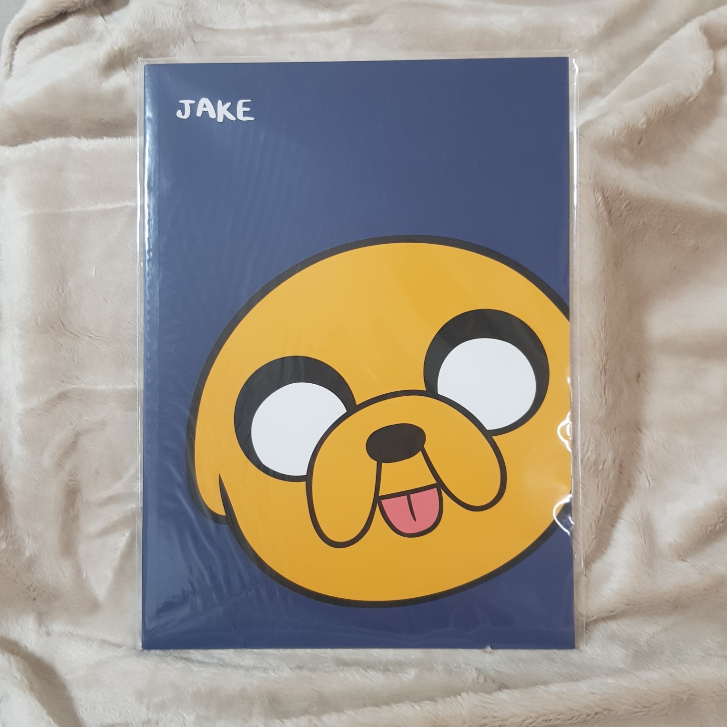 제이크 노트