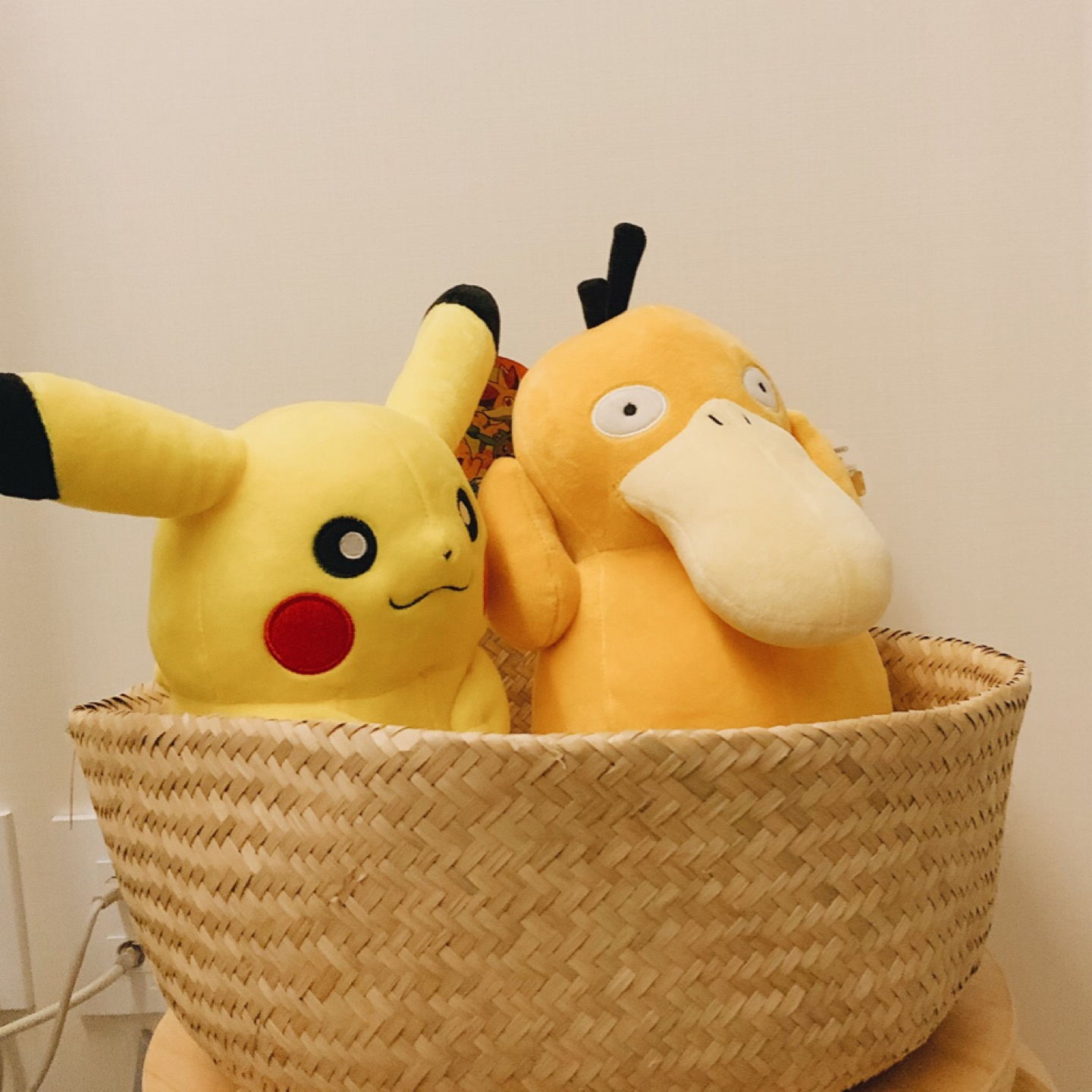 포켓안에 몬스터