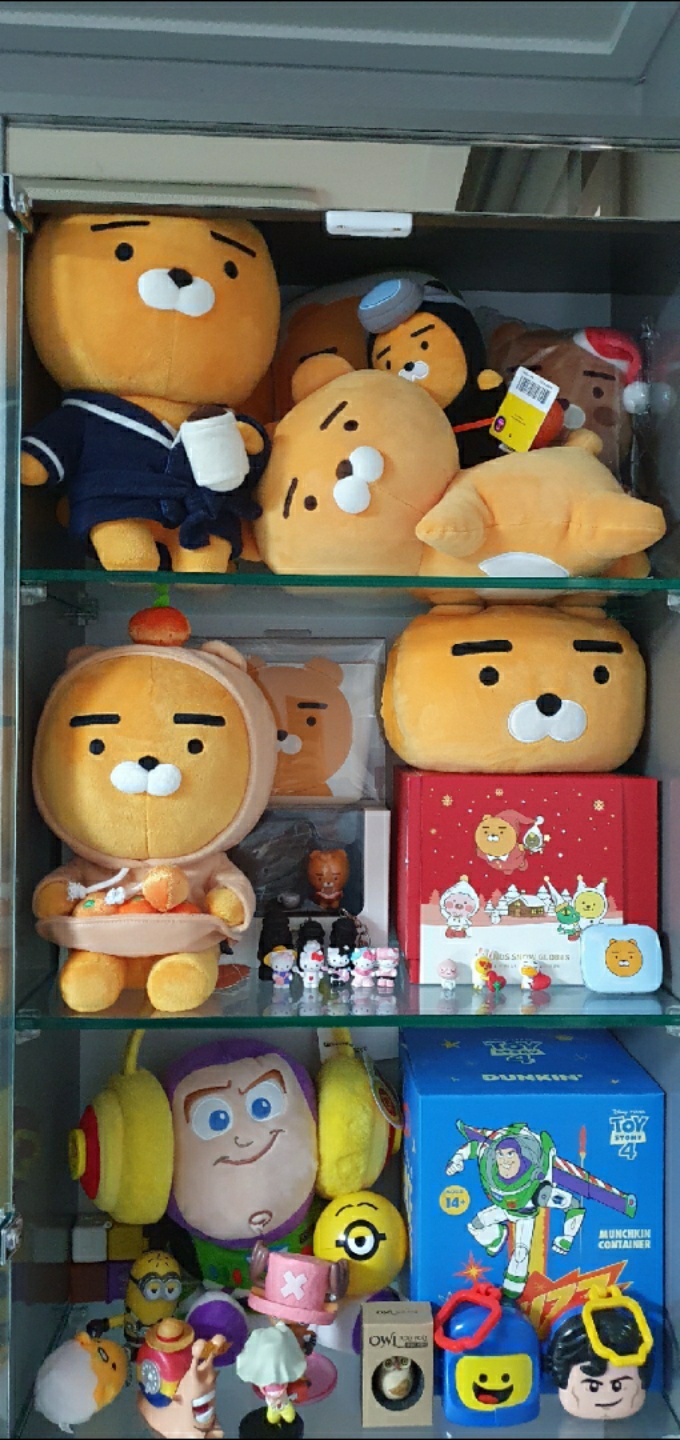 장식장