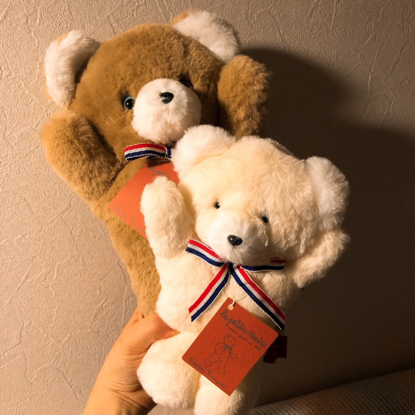 양털 곰댕이 ♡