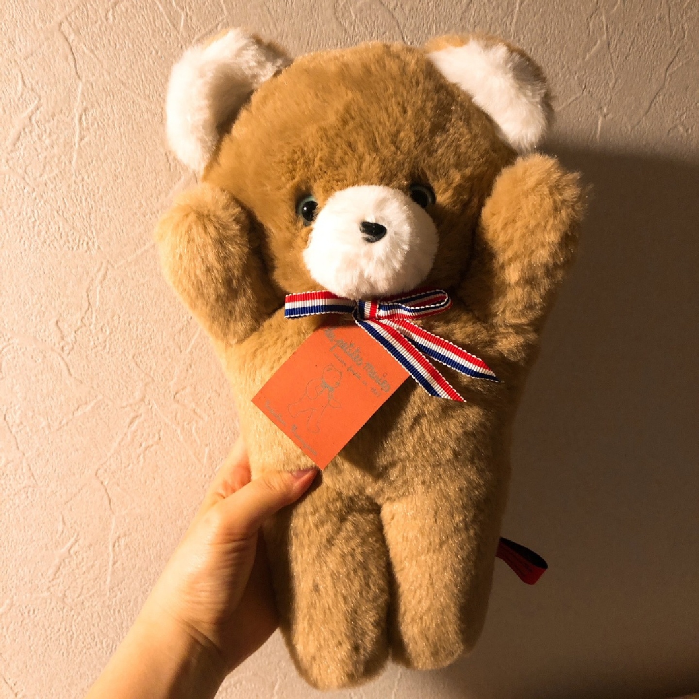 양털 곰댕이 ♡