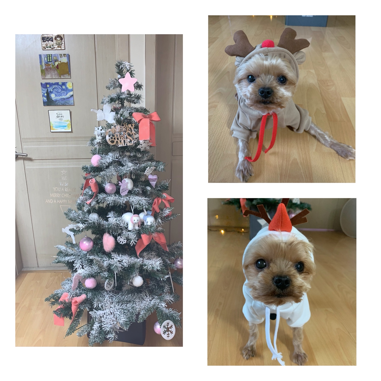 미리 메리크리스마스🎄❄️💕