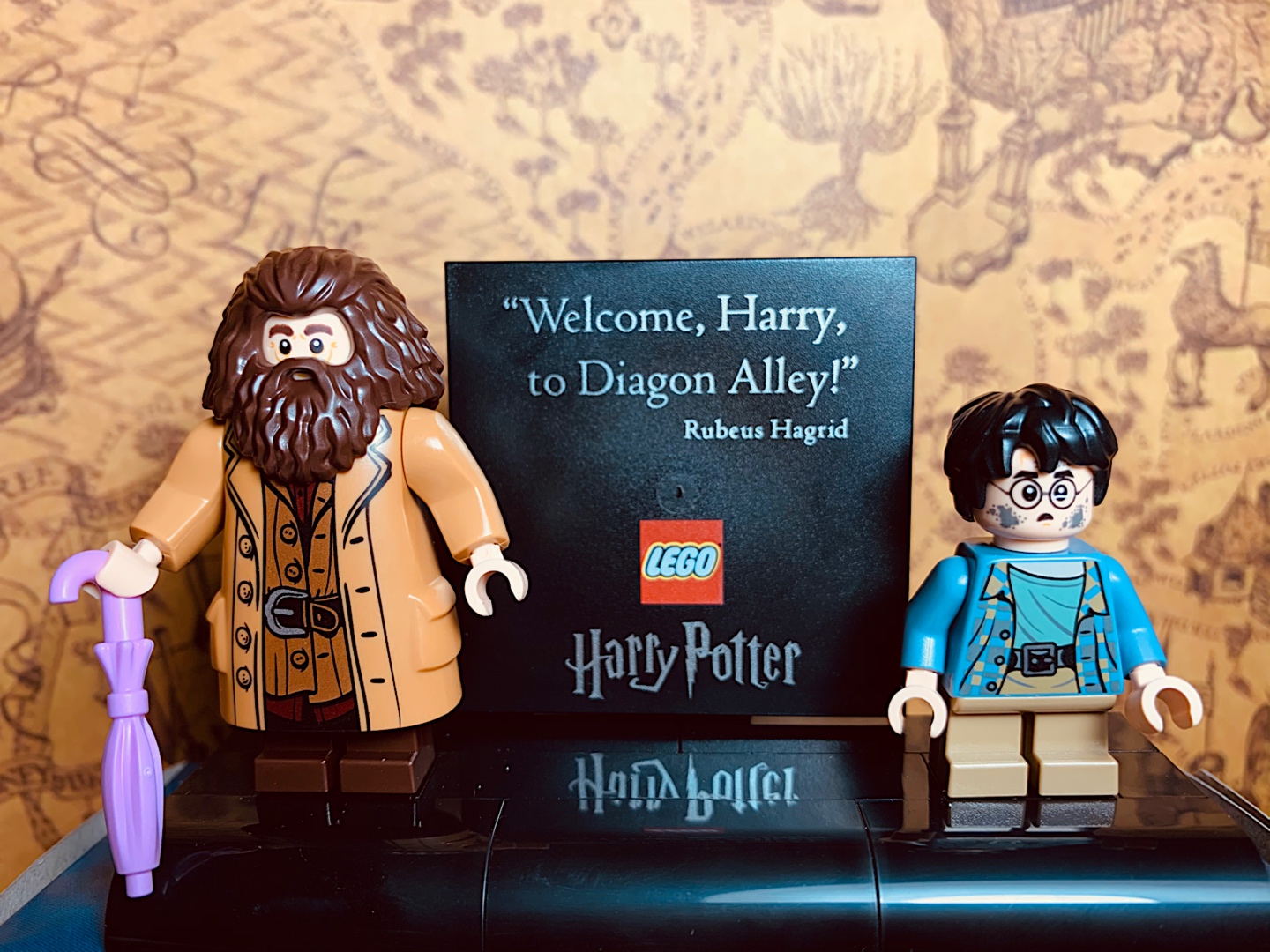 HARRY POTTER