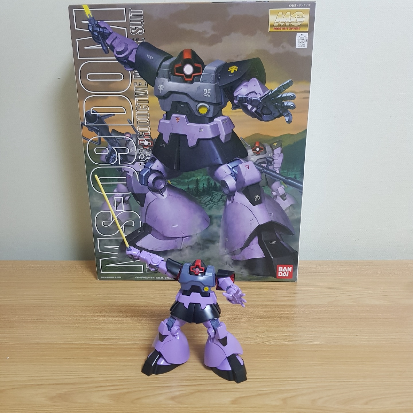 HG 돔