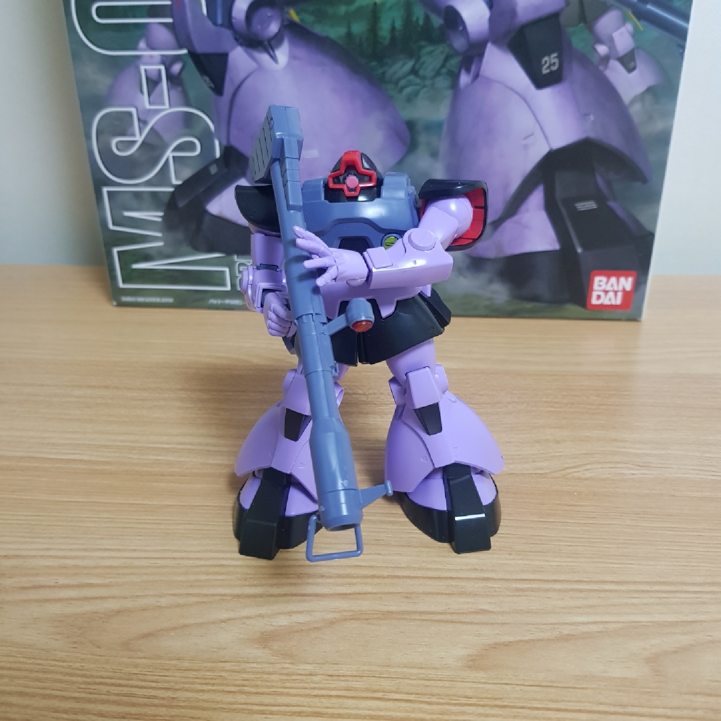 HG 돔