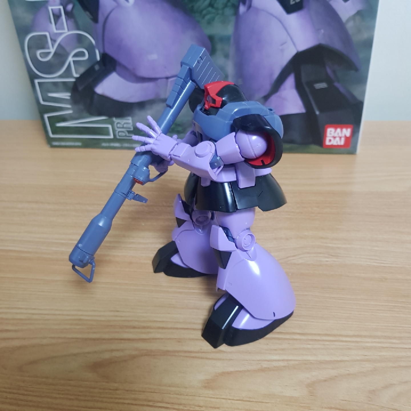 HG 돔