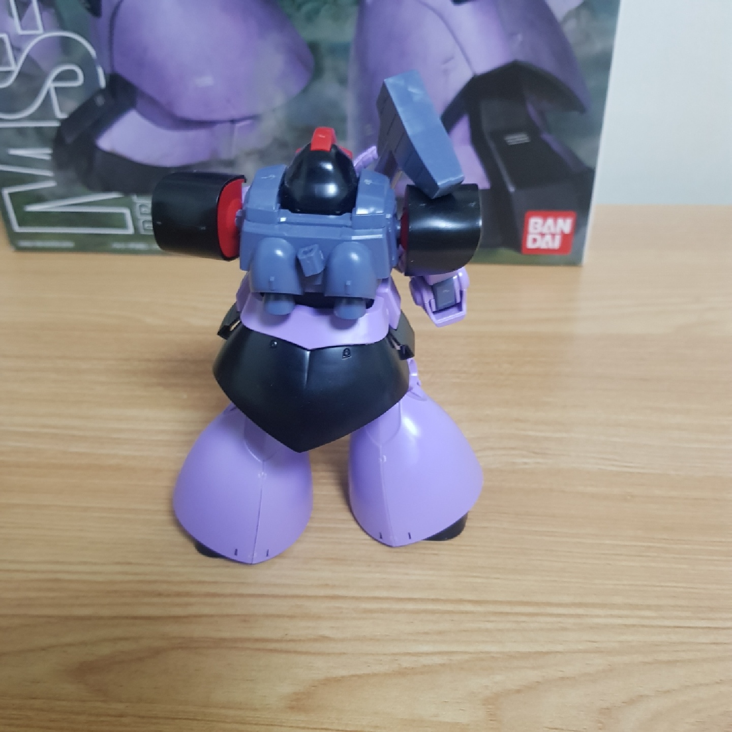 HG 돔