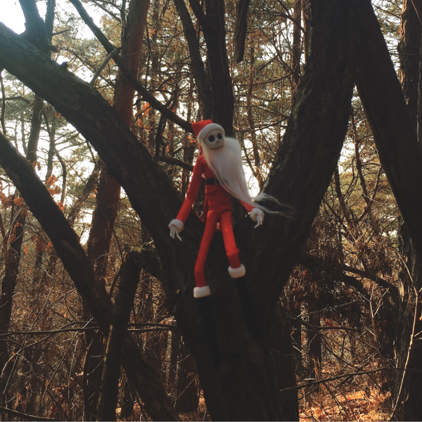 🎅산타🎄
랑
🏔산타🏞
