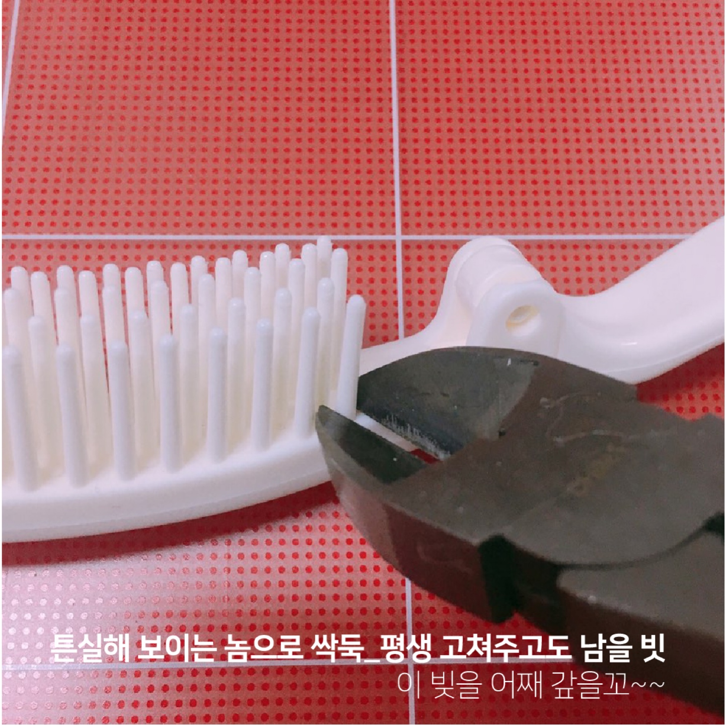 우리 제시 수술했어요