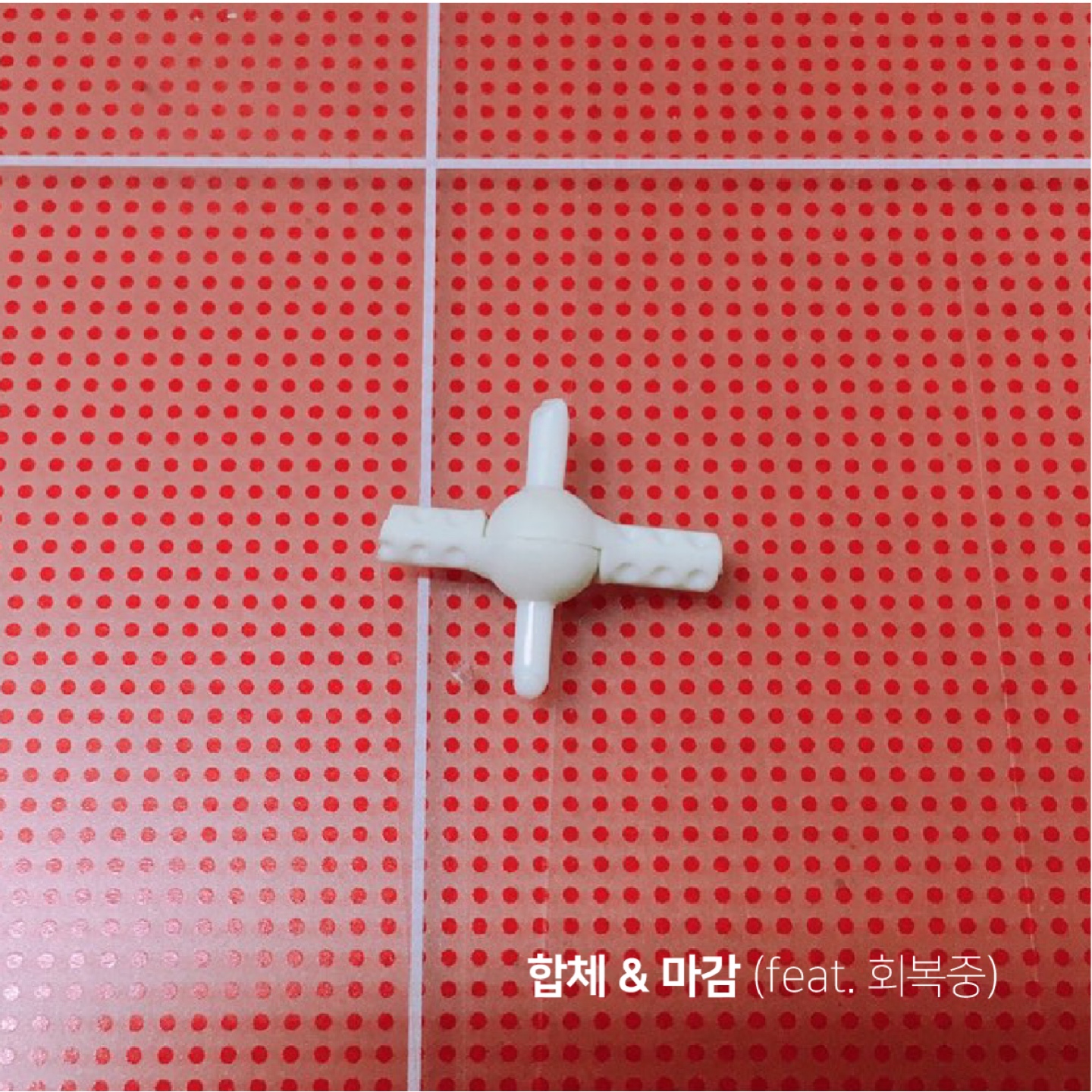 우리 제시 수술했어요