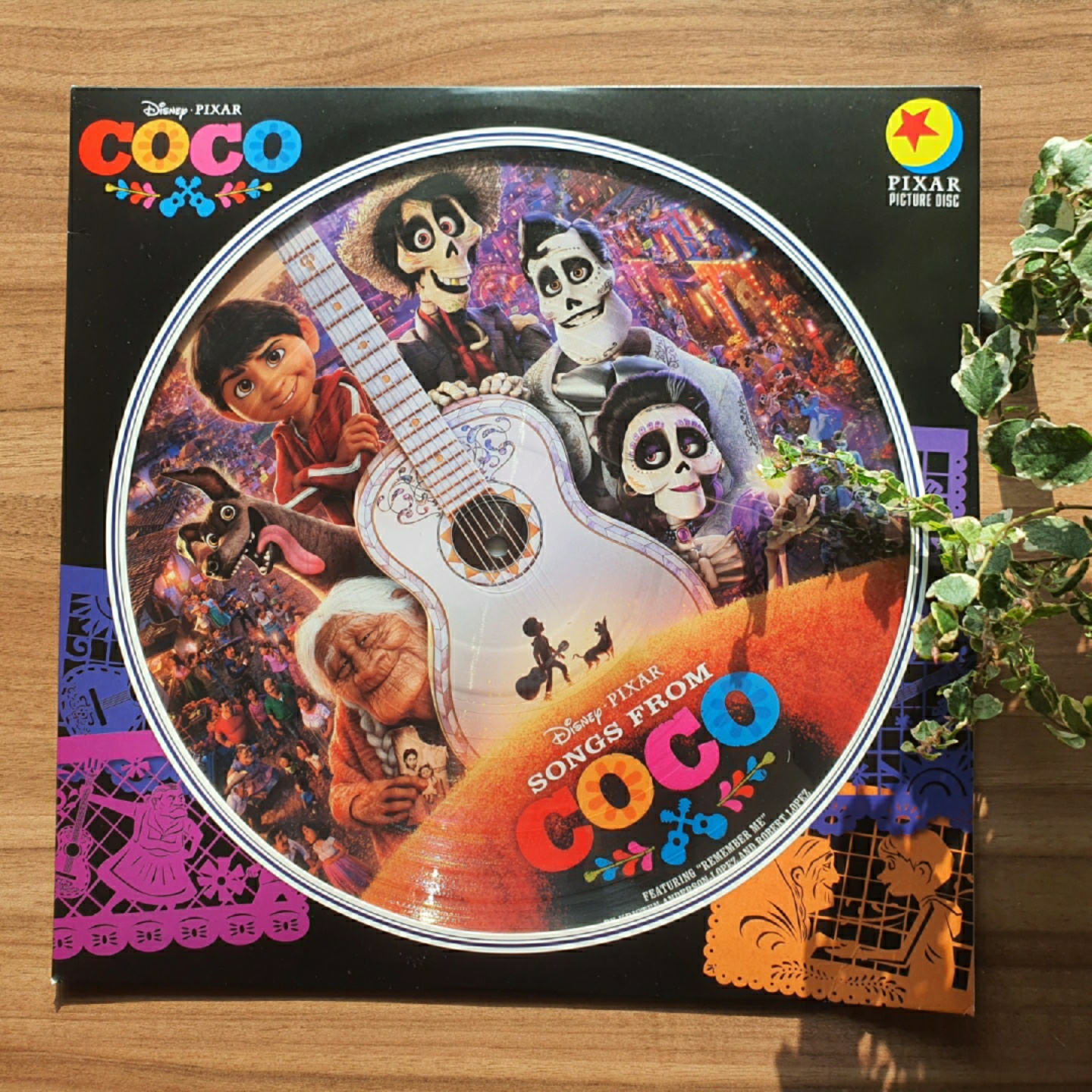 코코🎸