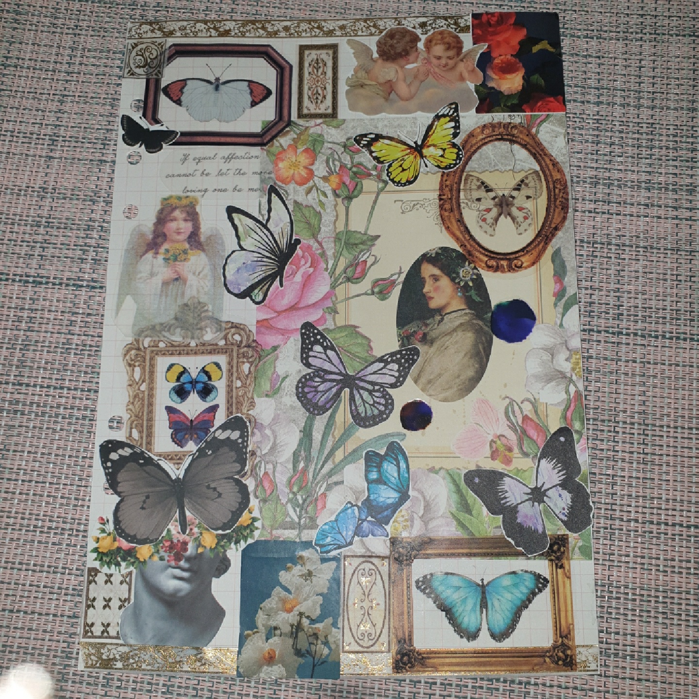 🦋나비와 소녀🎶