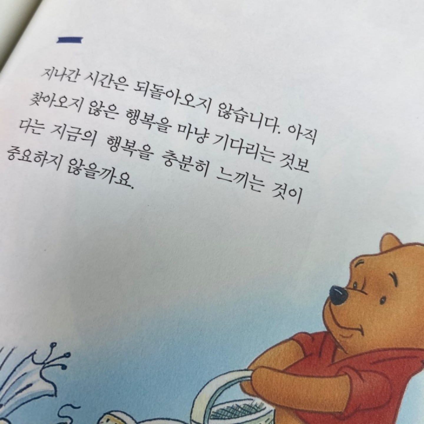 곰돌이 푸우