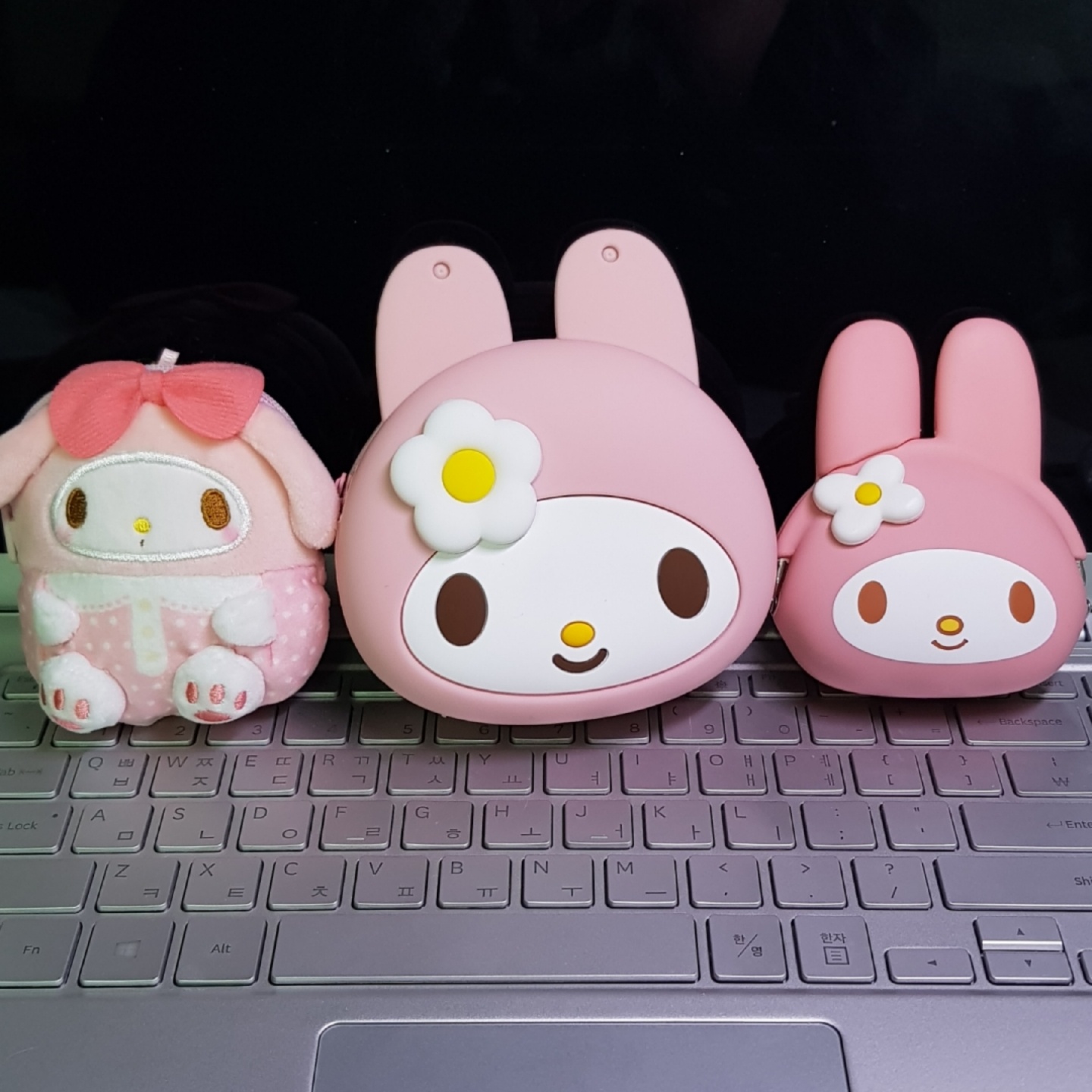 🌷 마이멜로디 🌷