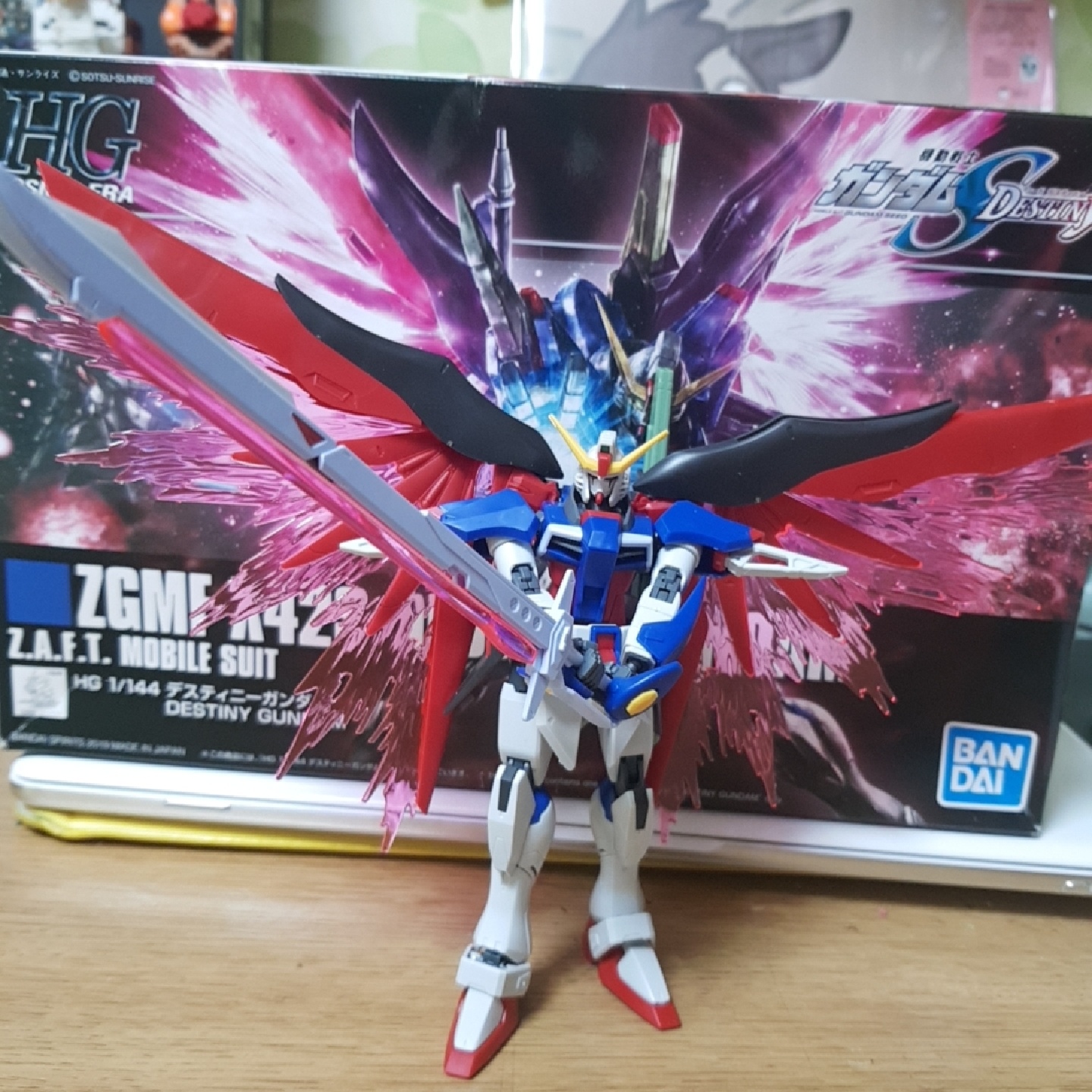 HG 데스티니 건담
