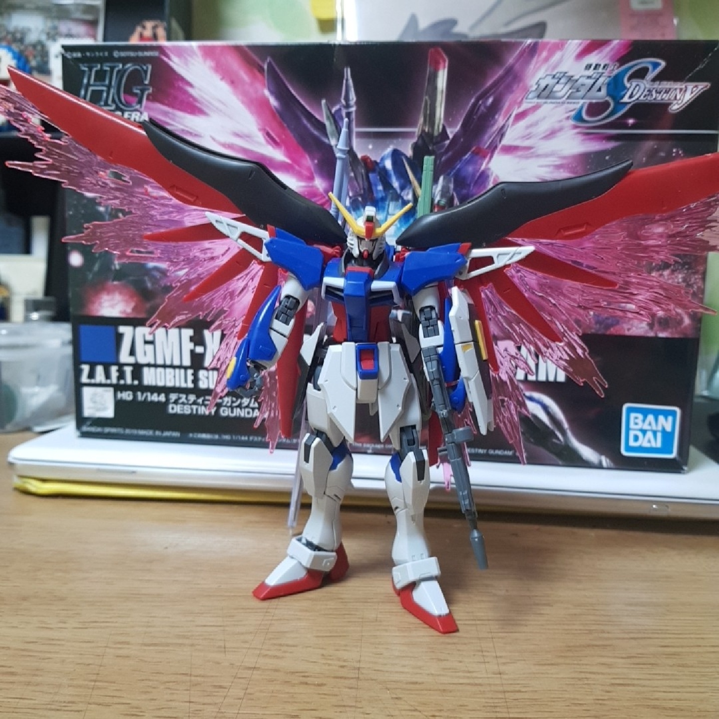 HG 데스티니 건담