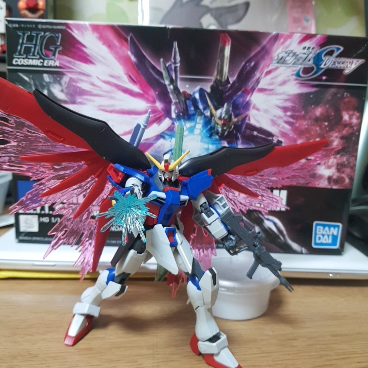 HG 데스티니 건담