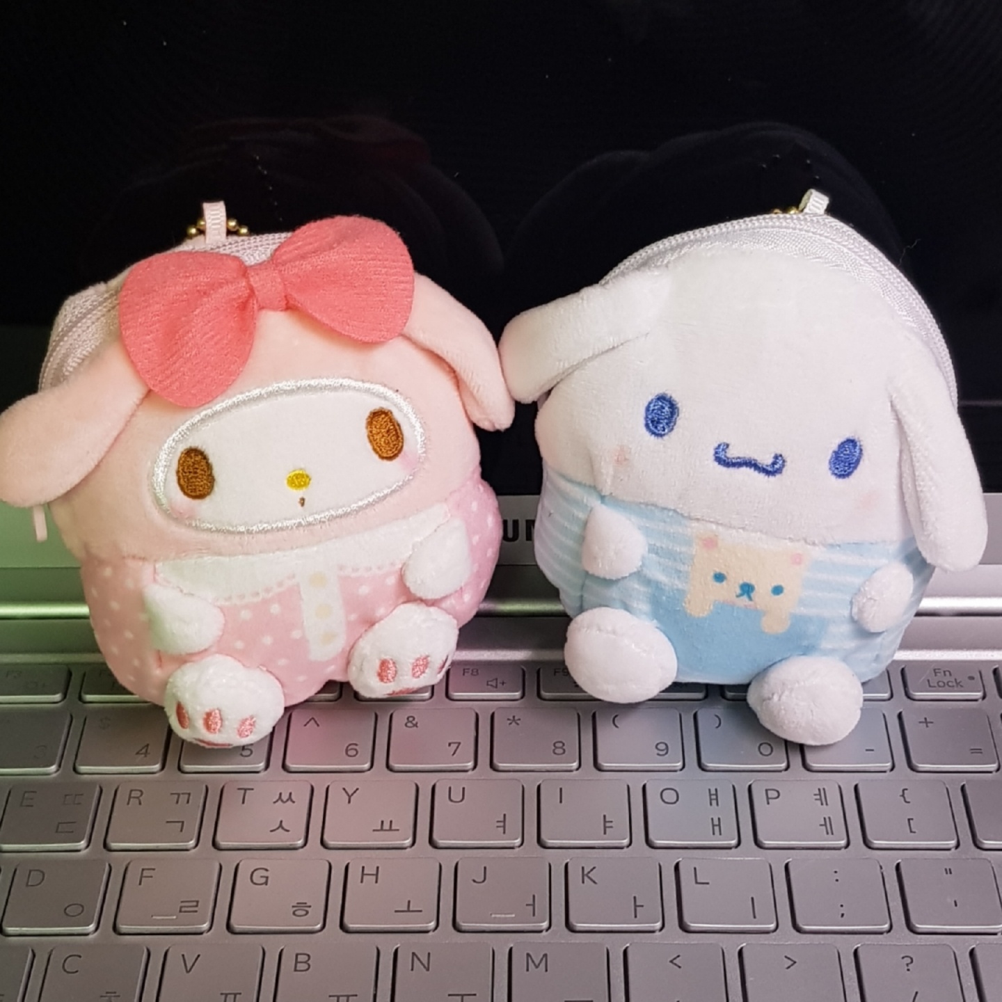 ❤ 마이멜로디 & 시나모롤 💙