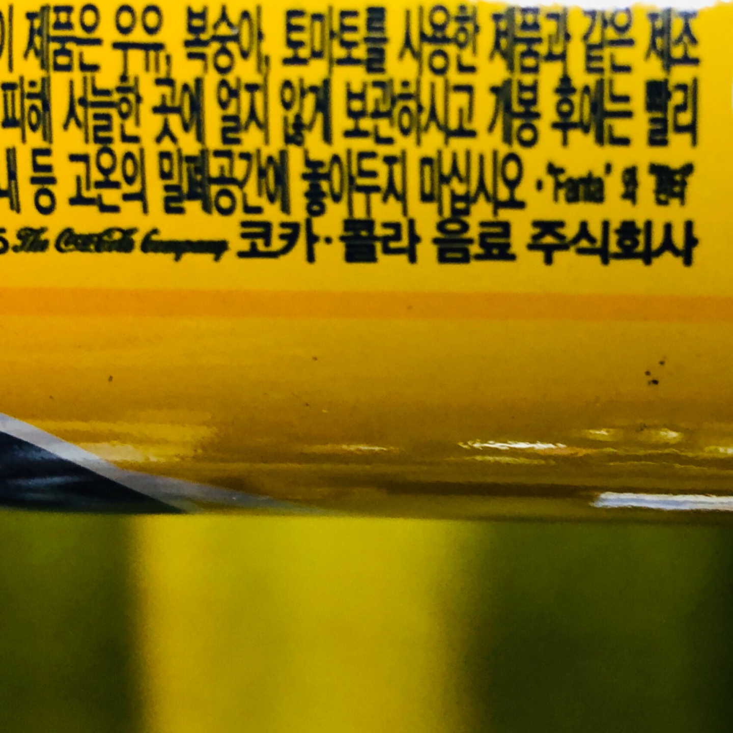 환타 파인애플향 패키지
[공룡 나르]