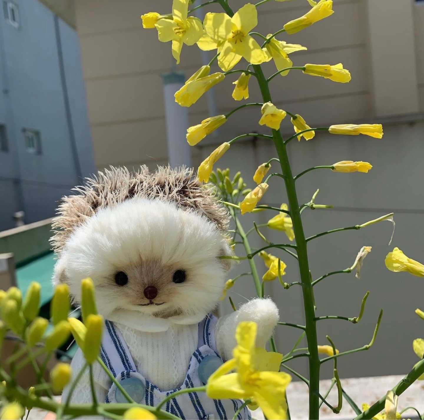 우리 제크에요💝