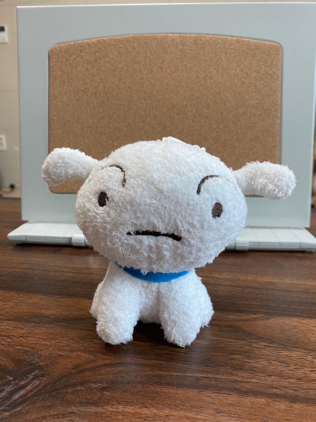흰둥이