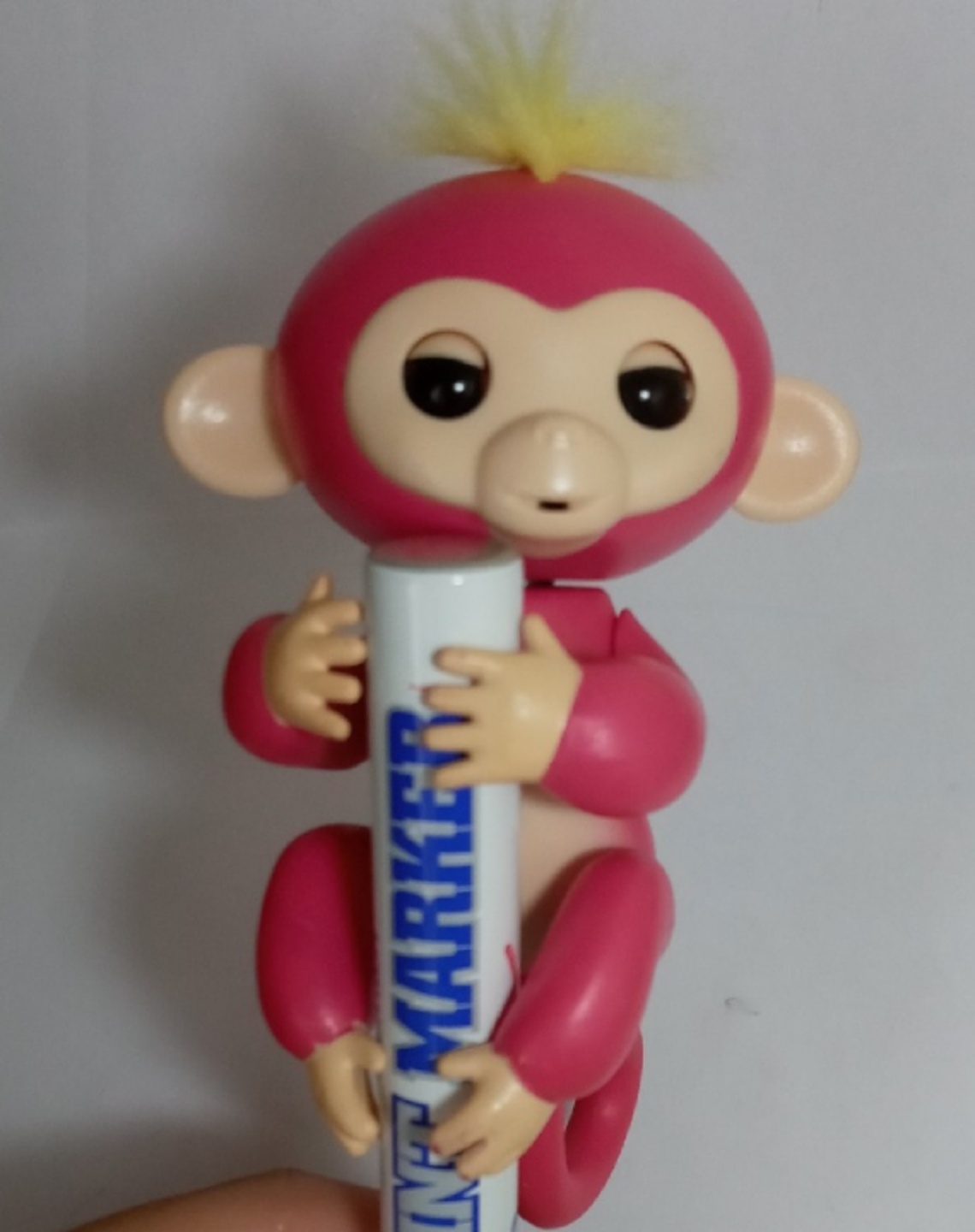 핑거링 몽키