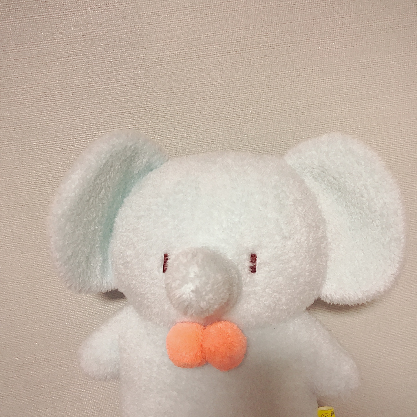탓똔입니닷🐘
