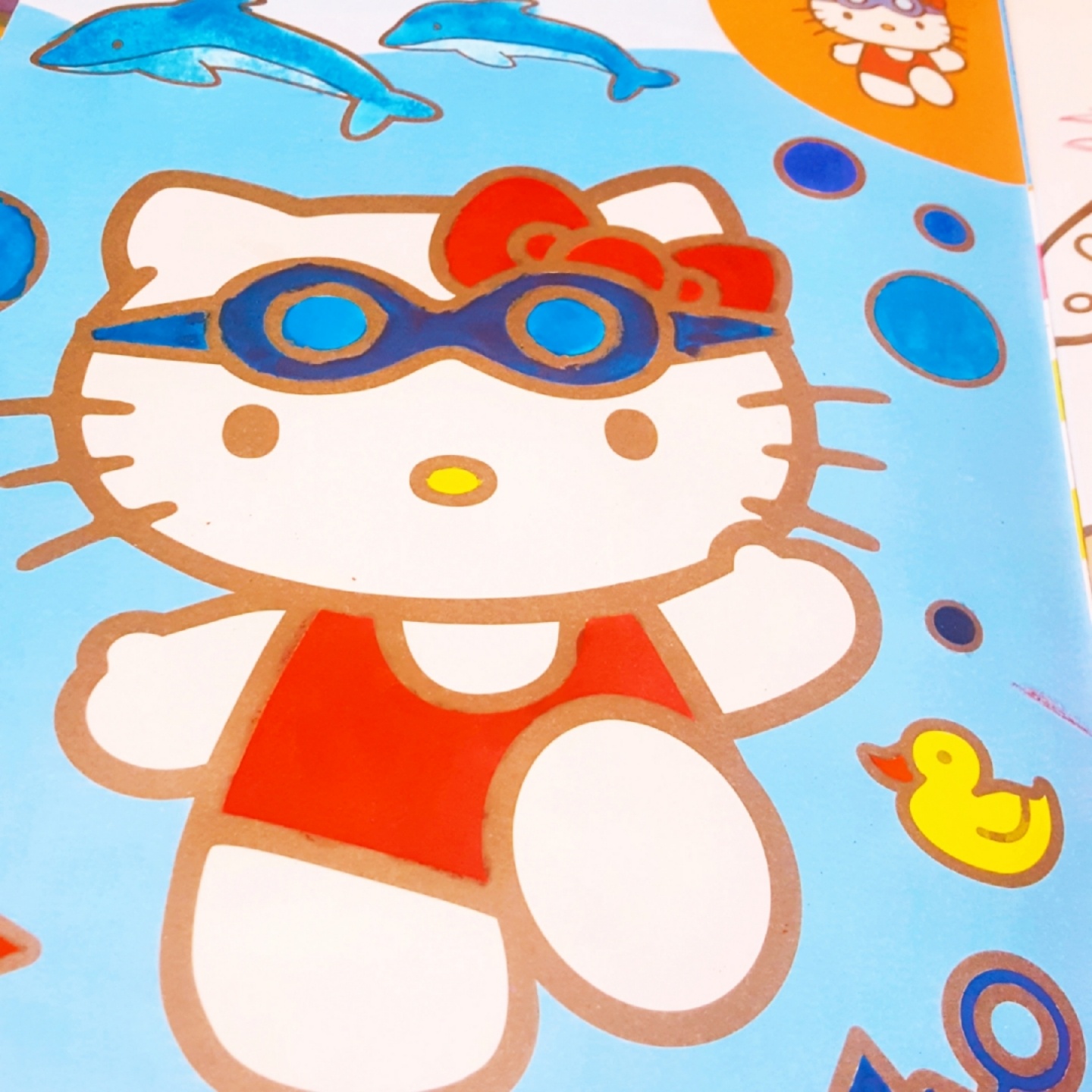 돌고래와 함께 수영을 🦈🏖