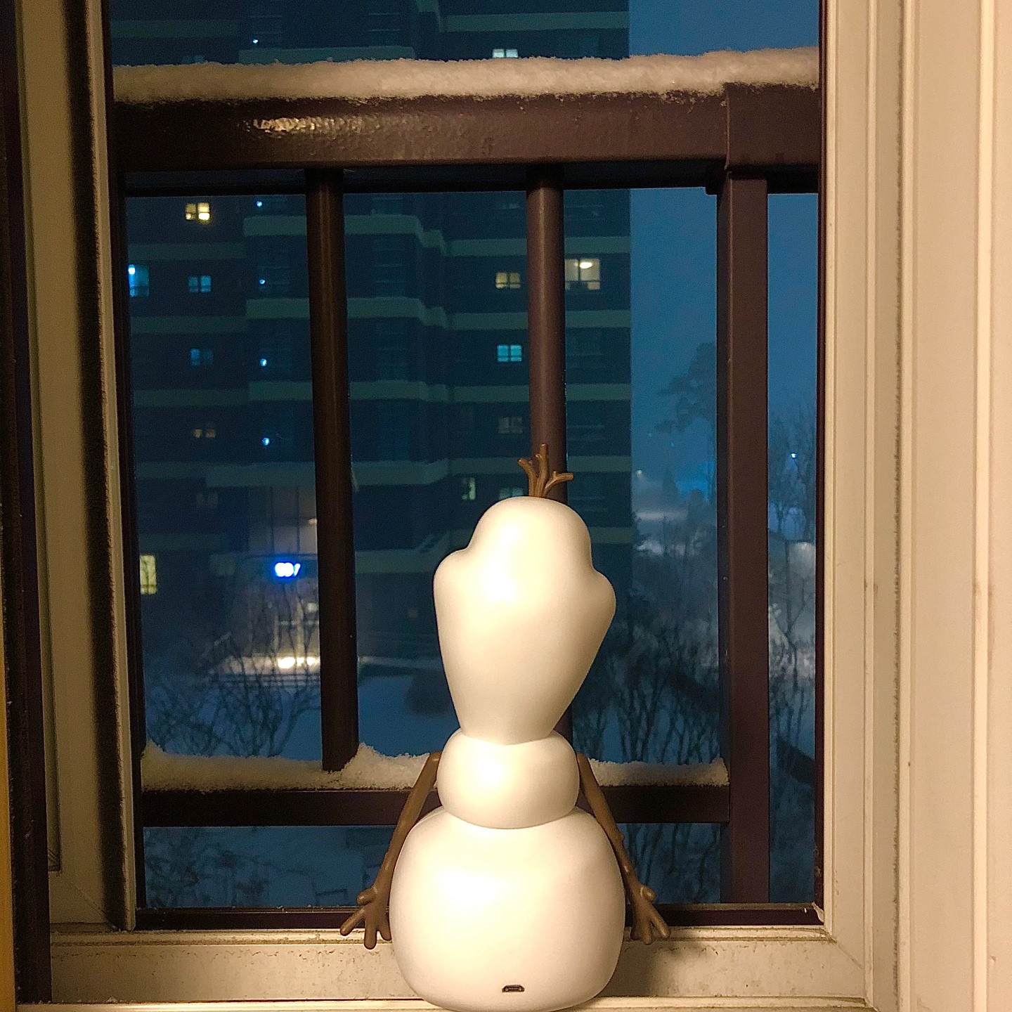 폭설❄️⛄️