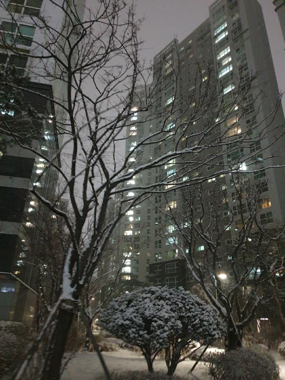 눈
