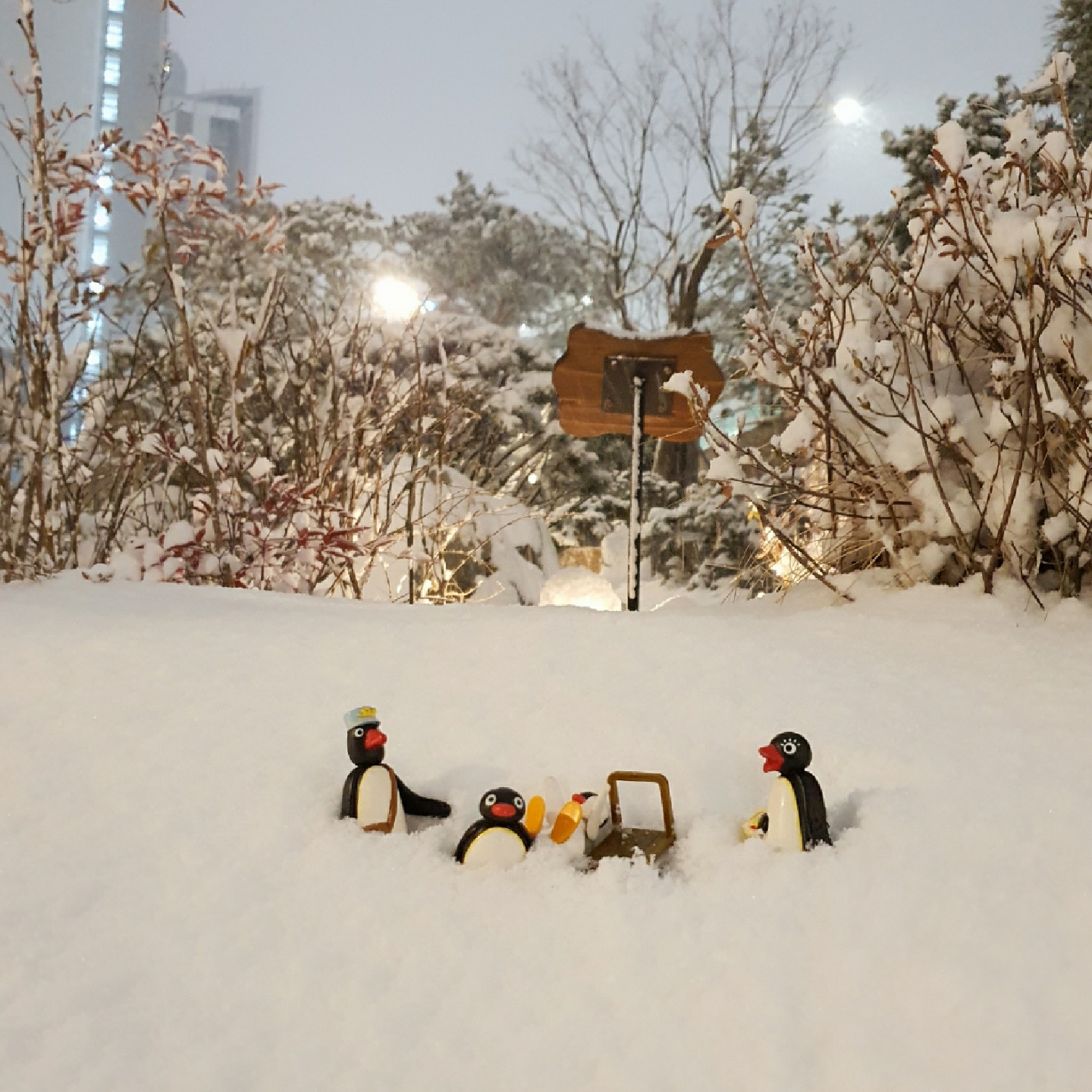 ❄🐧🎿❄