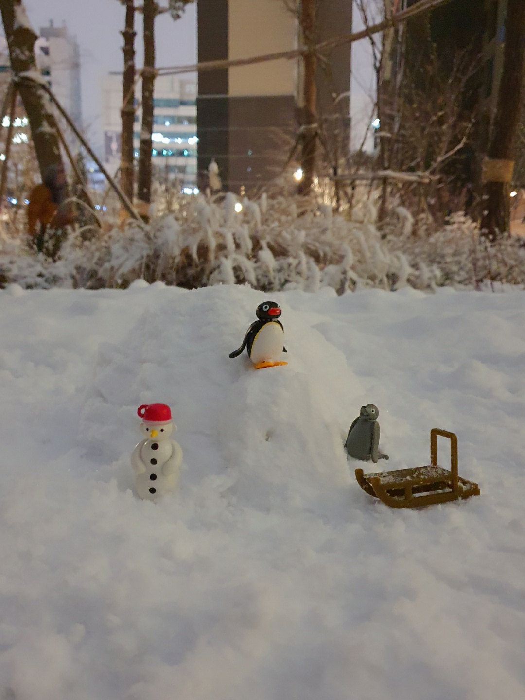 ❄🐧🎿❄
