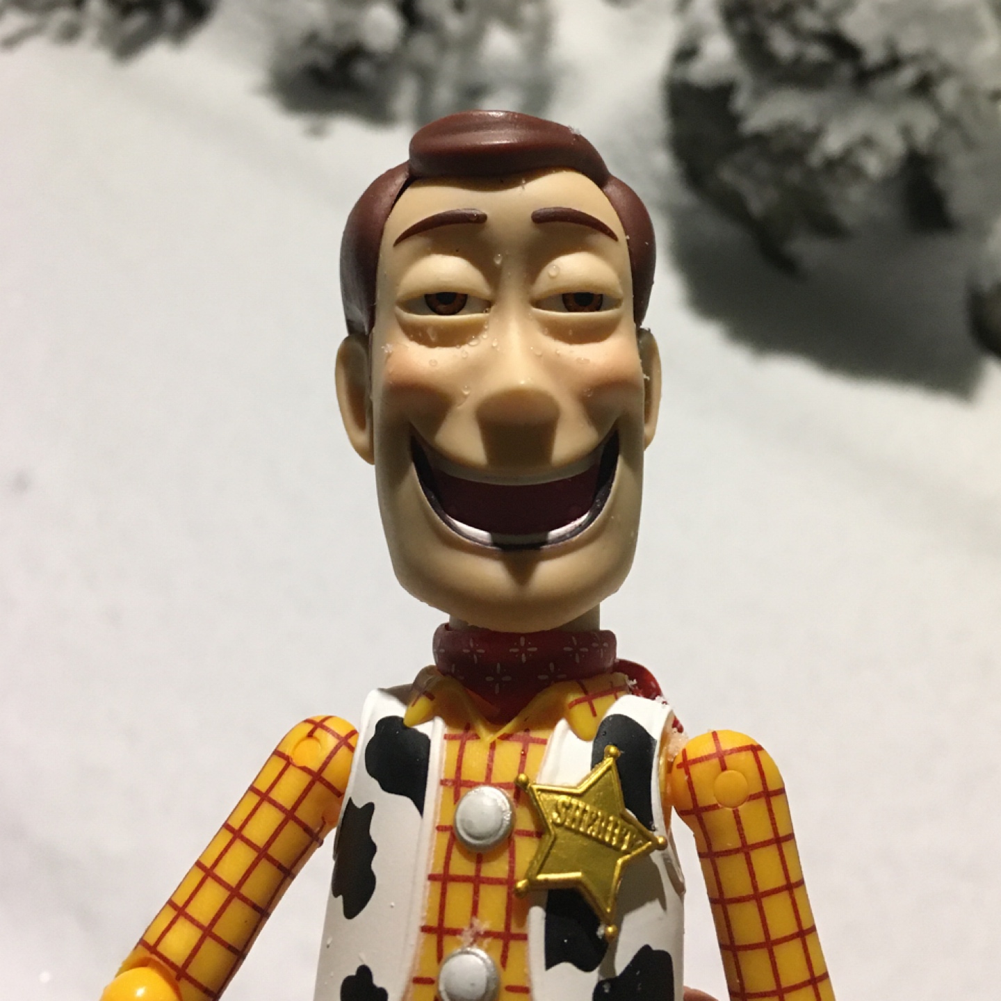 우리🤠우디
