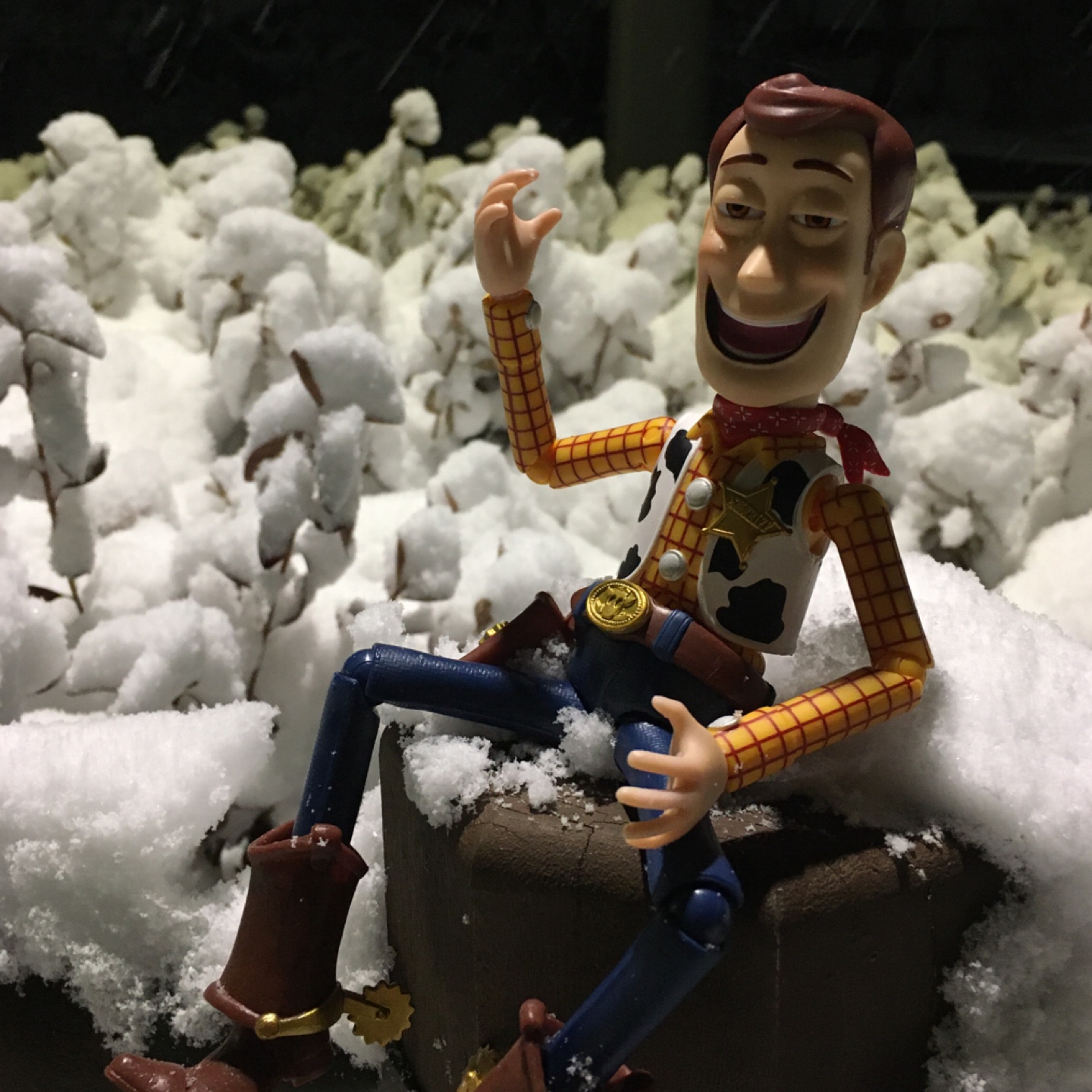 우리🤠우디