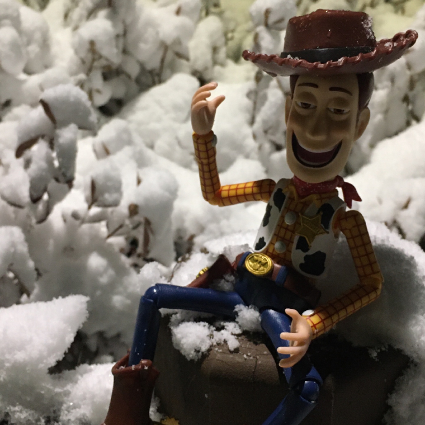 우리🤠우디