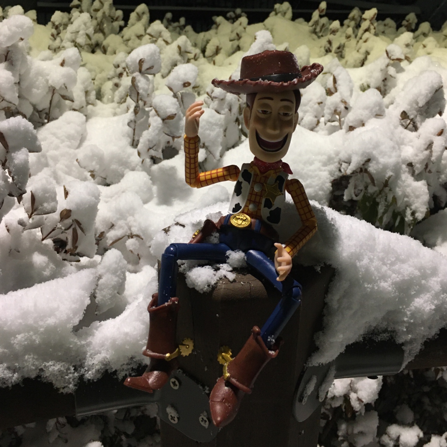우리🤠우디