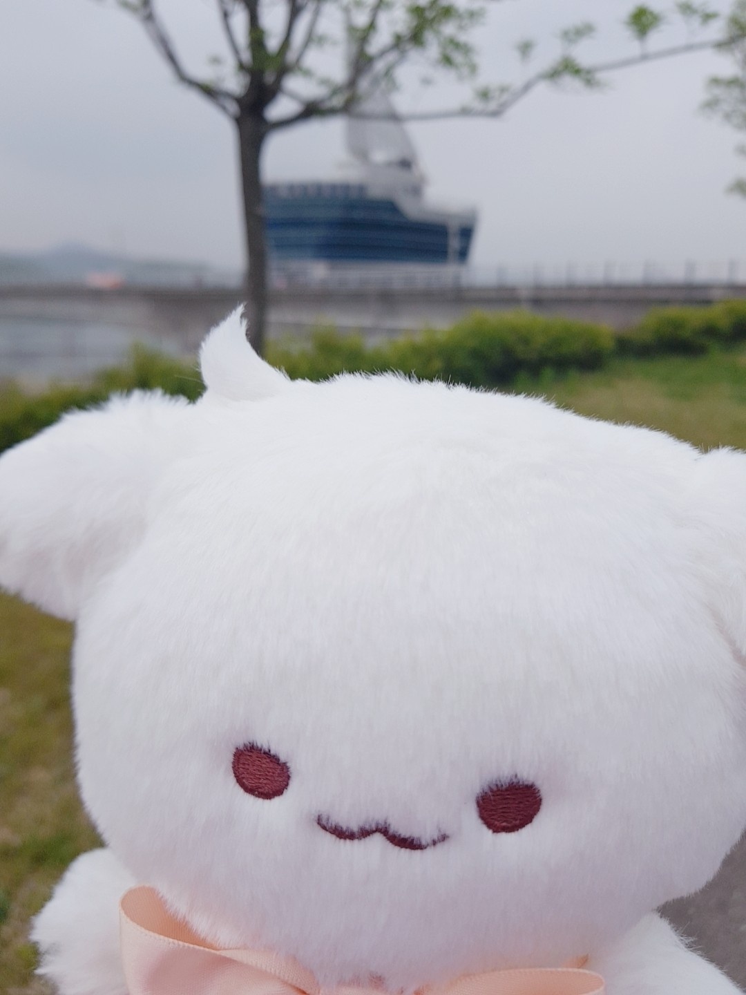 행복한 무스