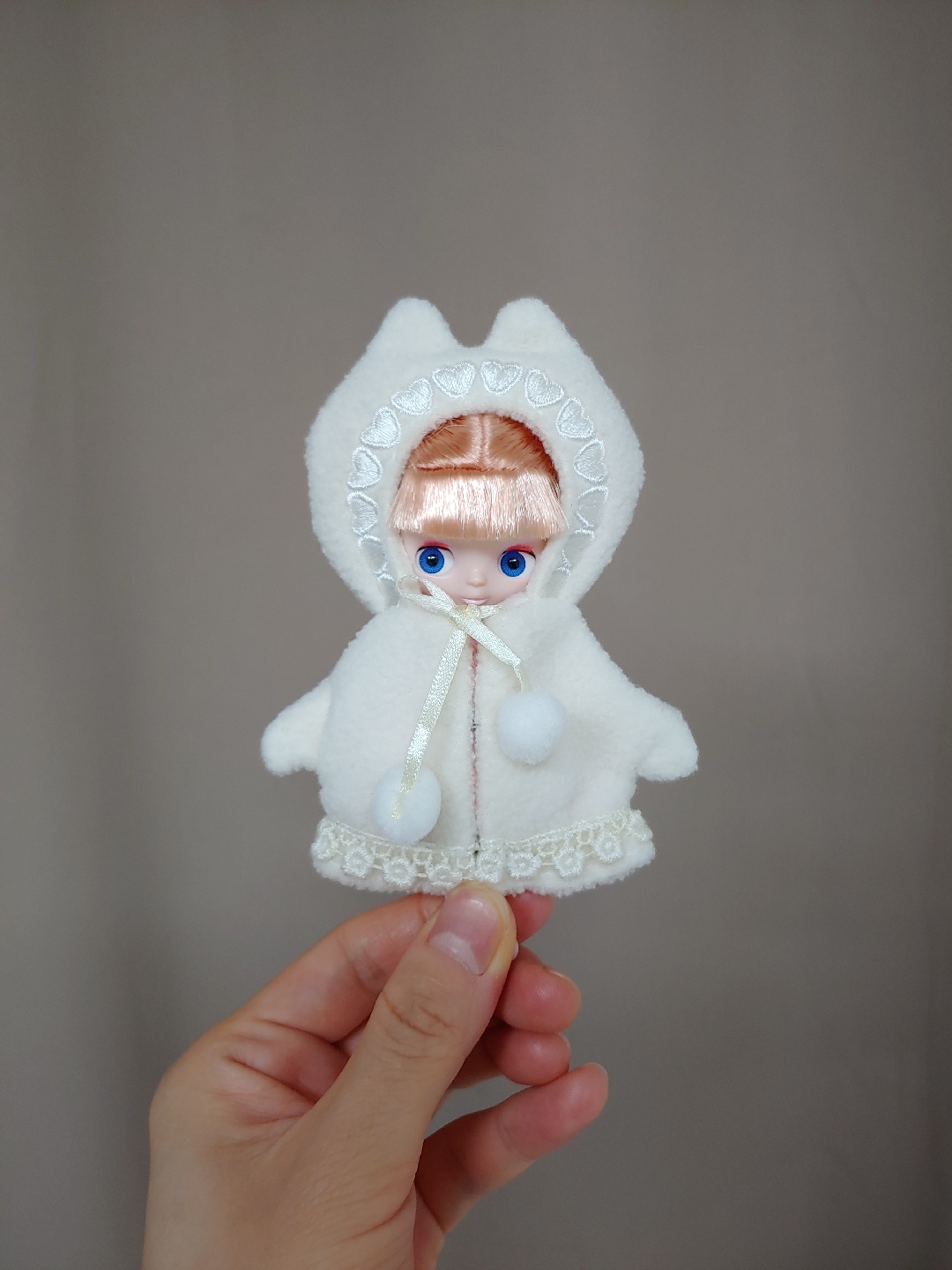 푸치❤️