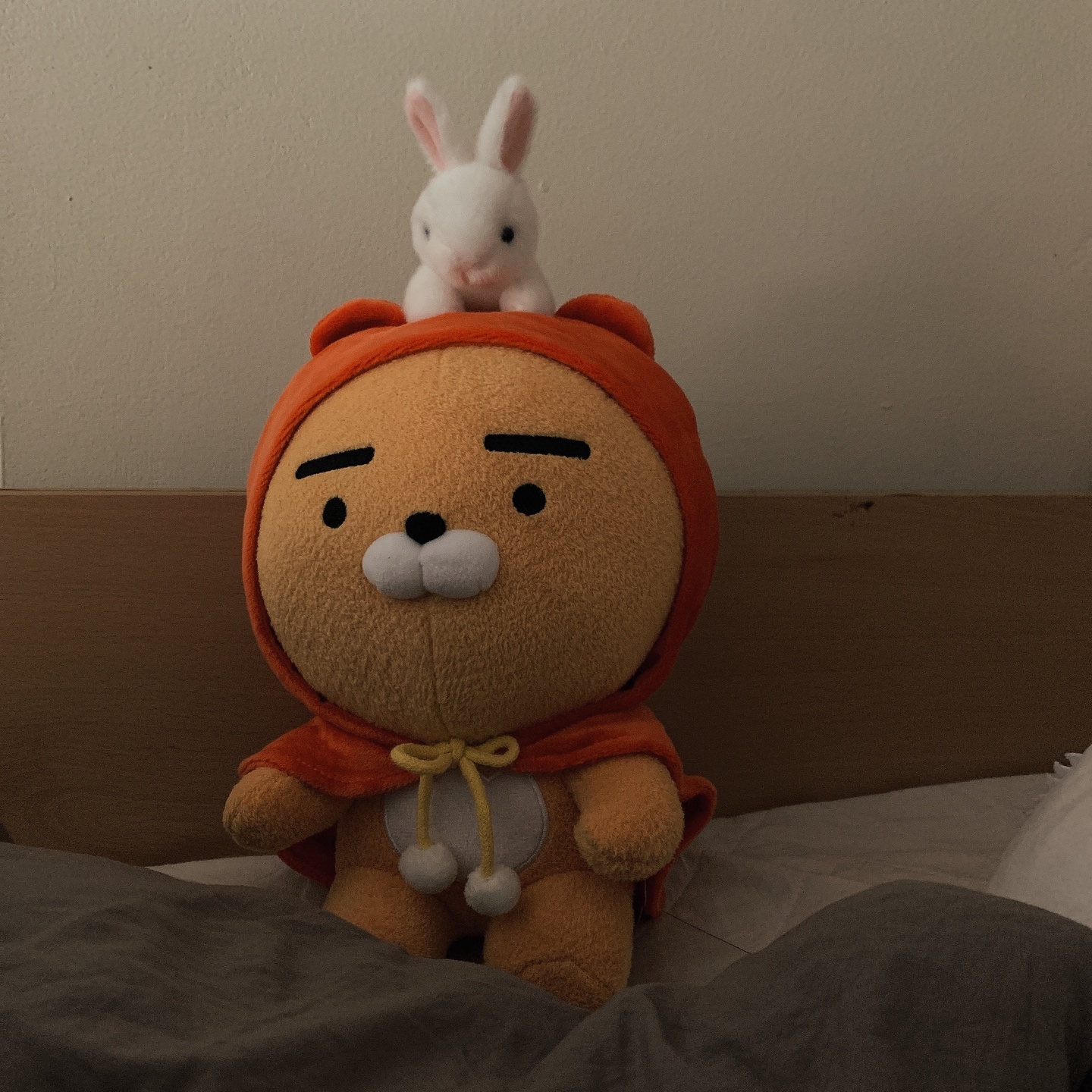 숲속의 라이언