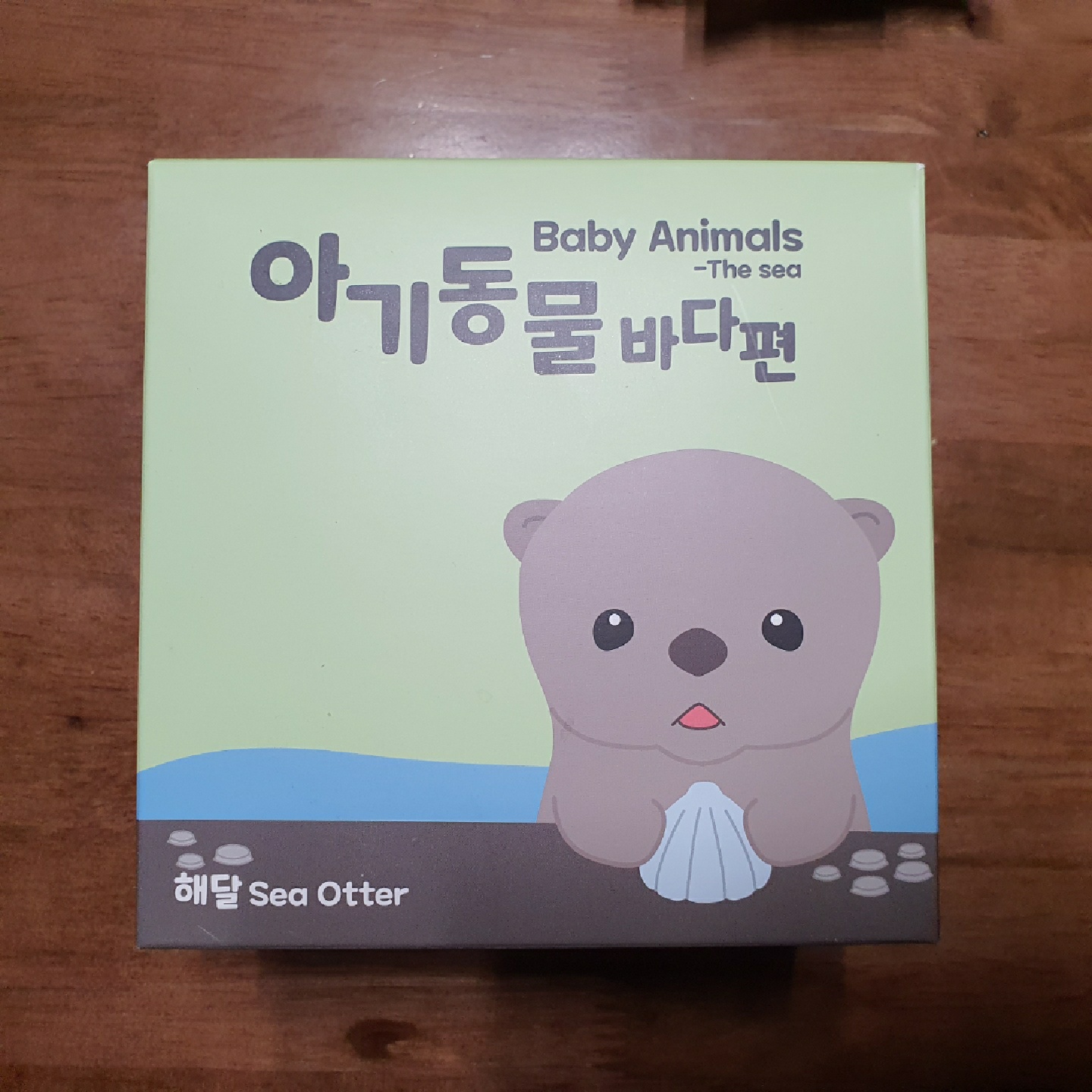 캡틴 해달🌊