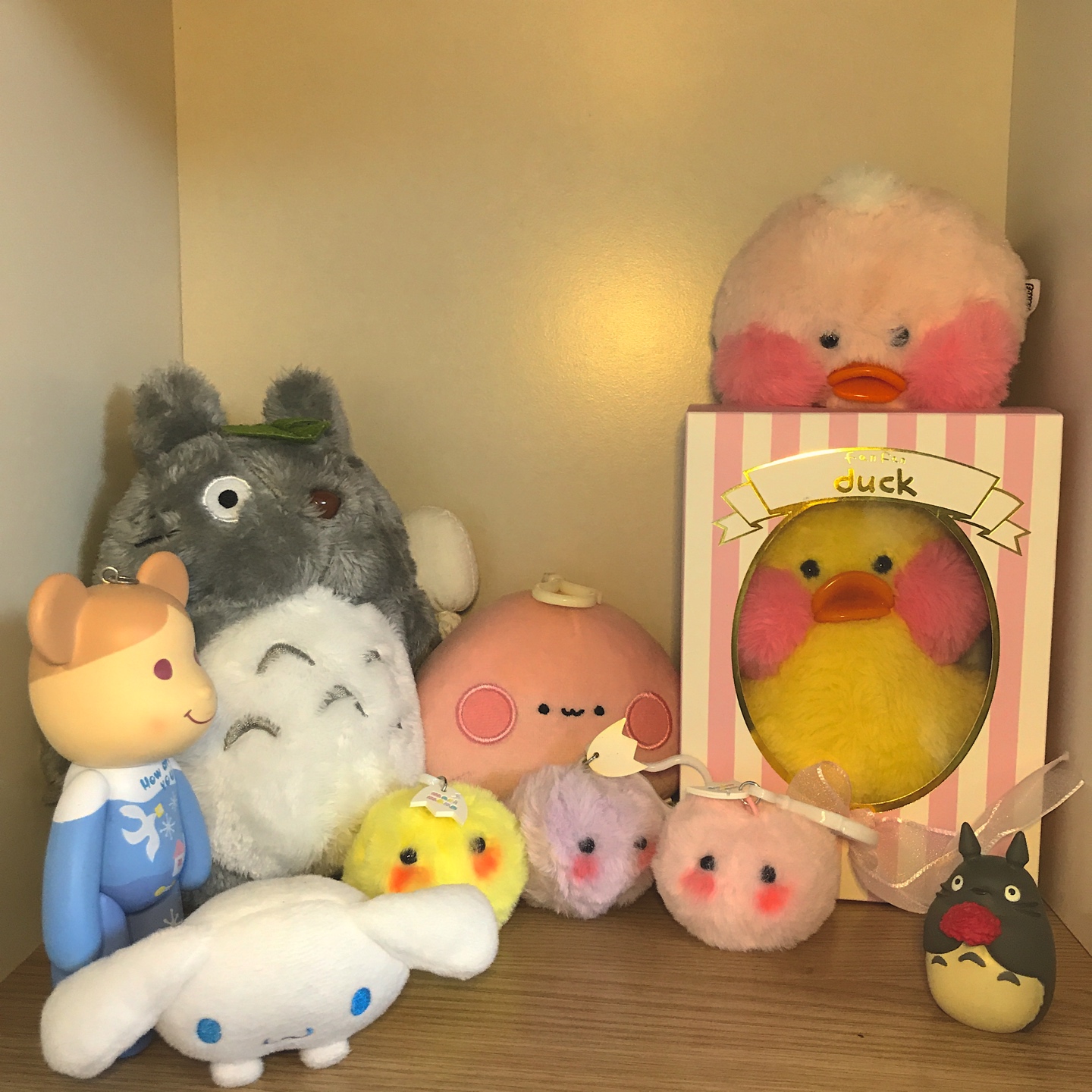 우리 이쁜 아가들🥰