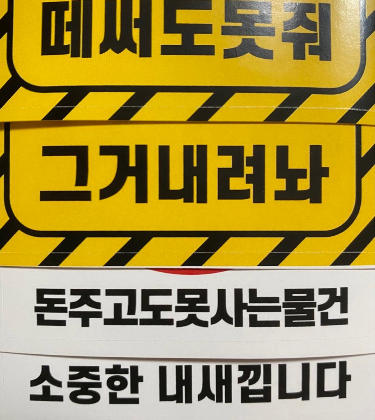 콜리굿즈도착