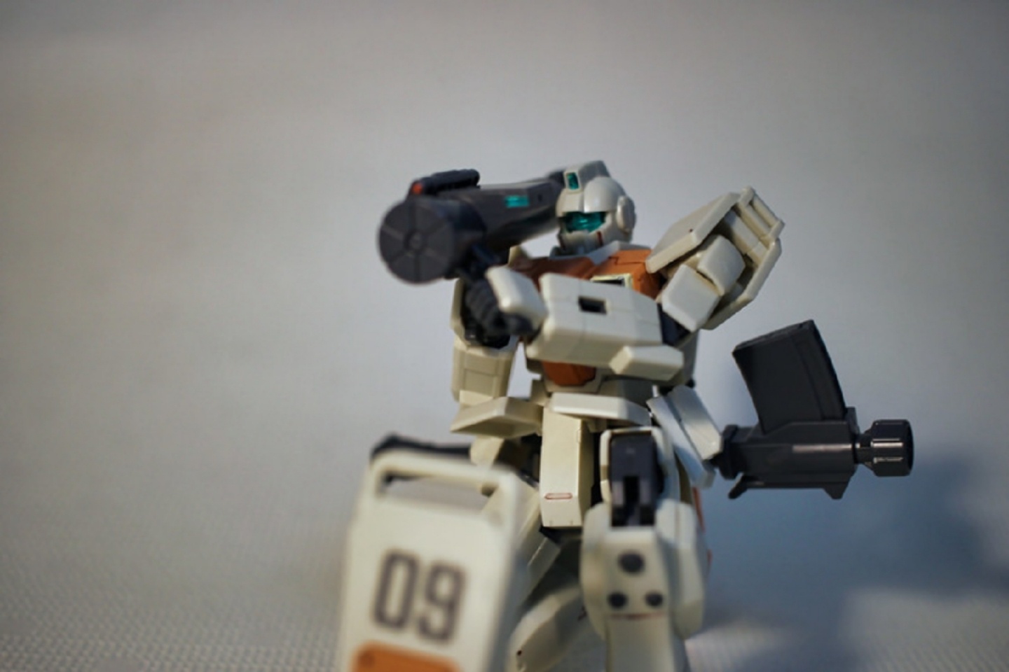 hg 육전형 짐