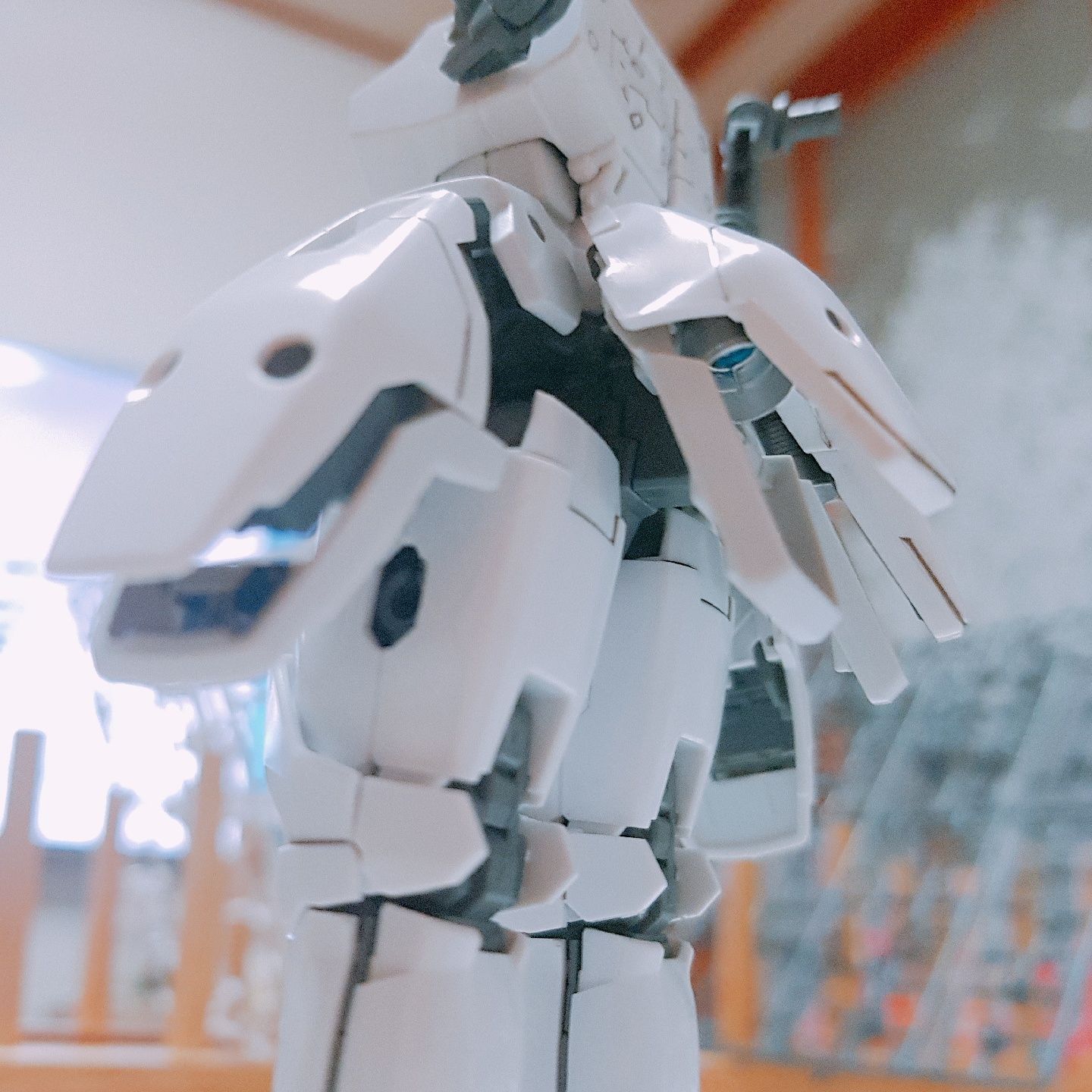 RG#톨기스
