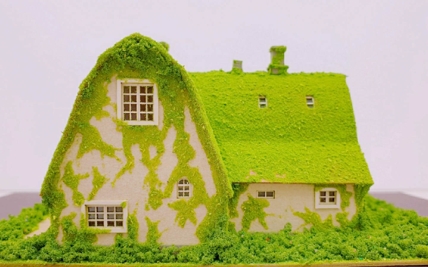키키 하우스 놀러오세요💚