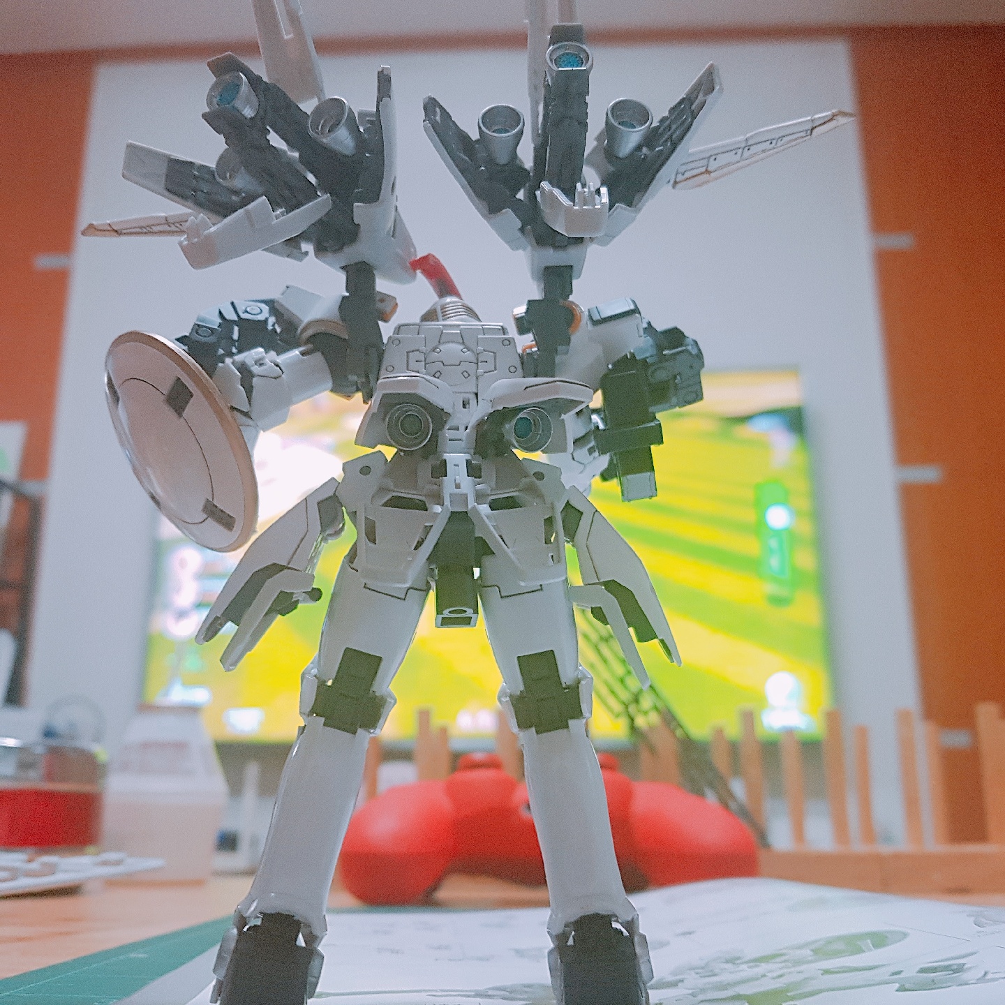 #RG#톨기스