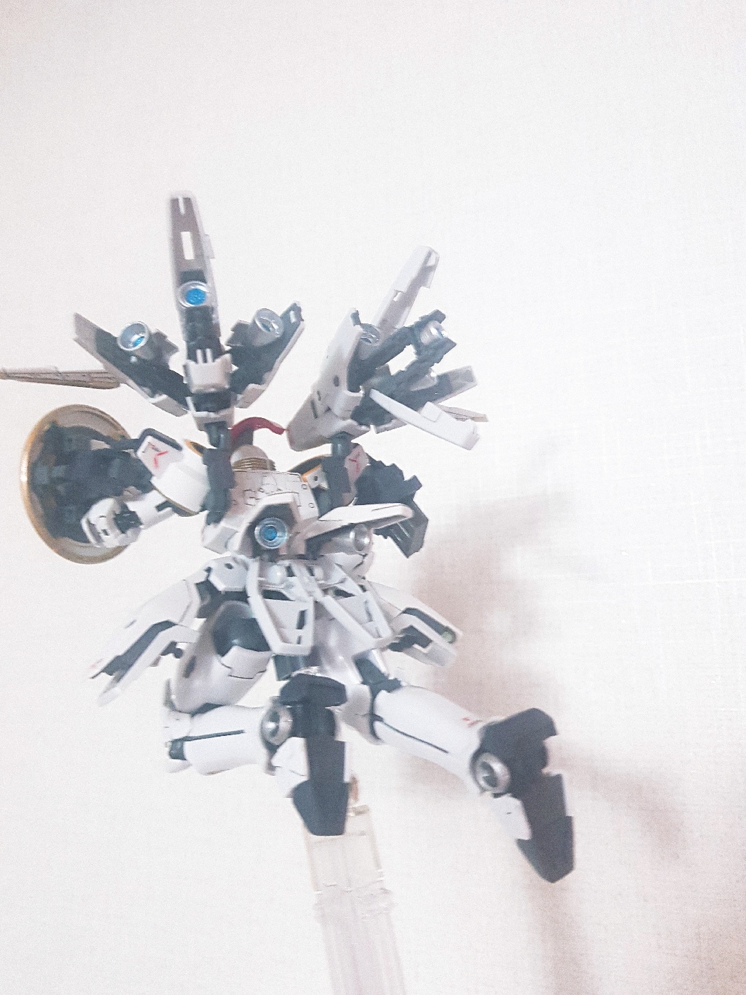 #RG#톨기스